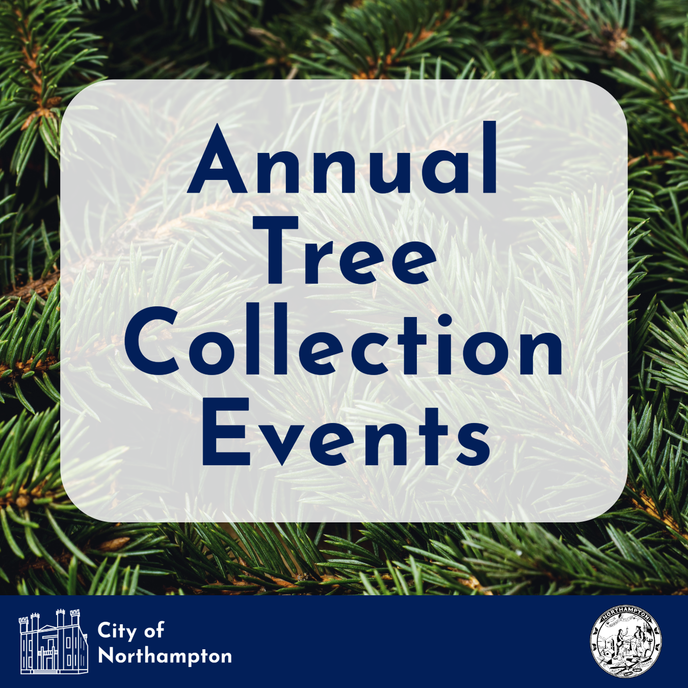 Annual Tree Collection Flyer