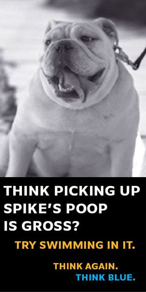 1. Spike image for licensing web page